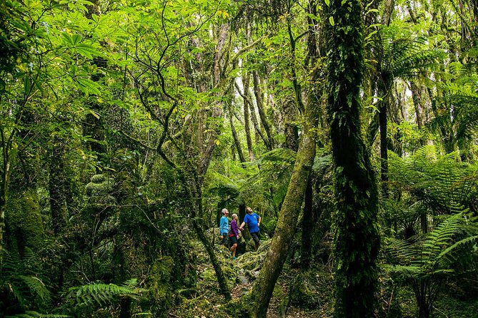Fox Glacier Nature Tour - Traveler Experiences and Reviews