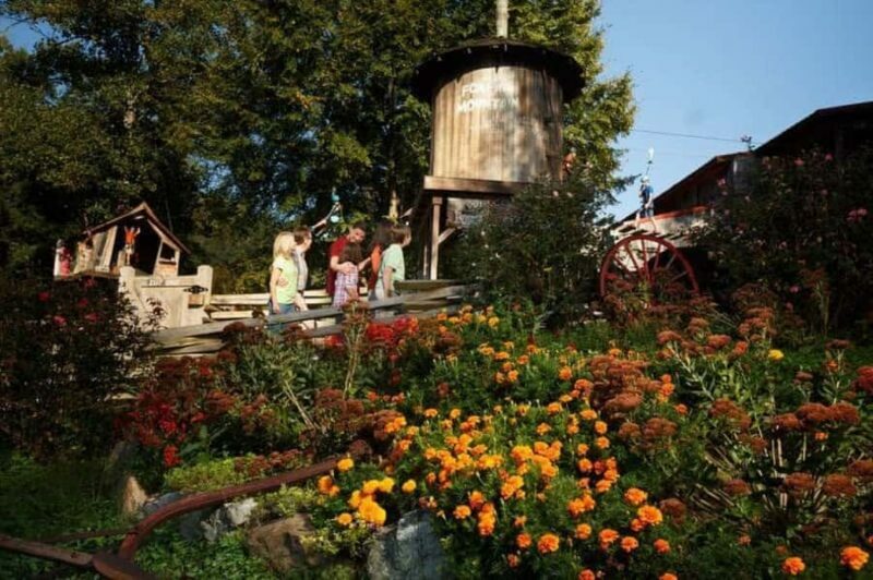 Foxfire Mountain: Hiking & Swinging Bridge Family Adventure - A Closer Look at Foxfire Mountain