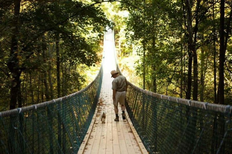 Foxfire Mountain: Hiking & Swinging Bridge Family Adventure - Final Thoughts