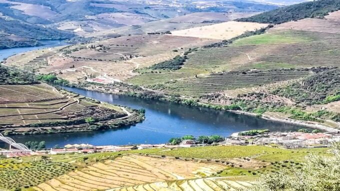 Foz Côa & Douro Private Tour: Rock Carvings and Superb Views - Guided Tours Through Coa Valley