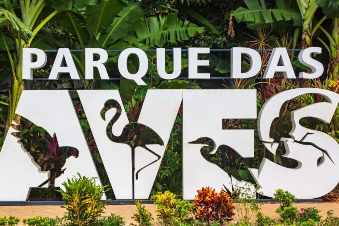 Foz Do Iguaçu: Bird Park Experience - Bird Diversity and Habitats