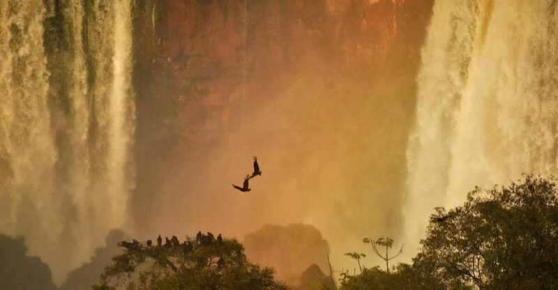 Foz Do Iguaçu: Hiking Trails Into the Iguaçu National Park. - Key Points