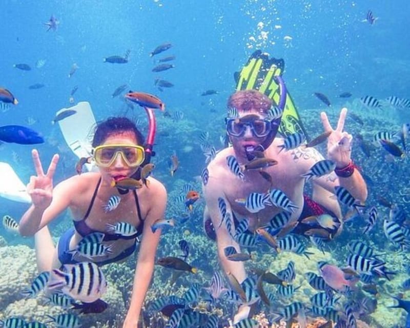 FR DA NANG: CHAM ISLAND SIGHTSEEING AND SNORKELING TOUR - Inclusions and Requirements