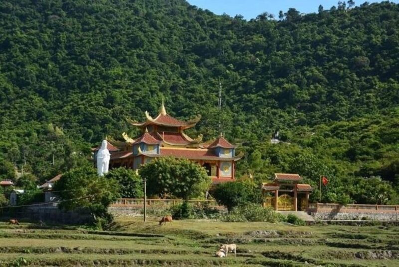 FR DA NANG: CHAM ISLAND SIGHTSEEING AND SNORKELING TOUR - Customer Feedback