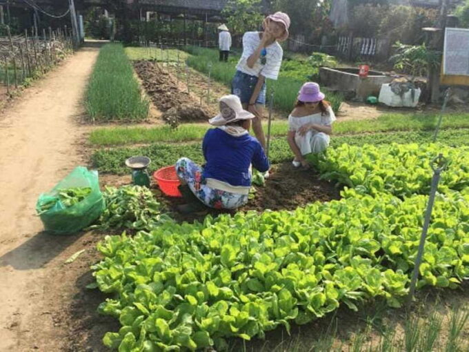FR HOI AN: FARMING & FISHING LIFE BY BIKE - Tour Inclusions and Important Information