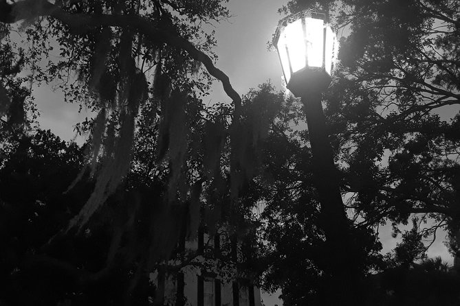 Fraidy Cat: The Family Fun Ghost Tour of Savannah - What Customers Are Saying
