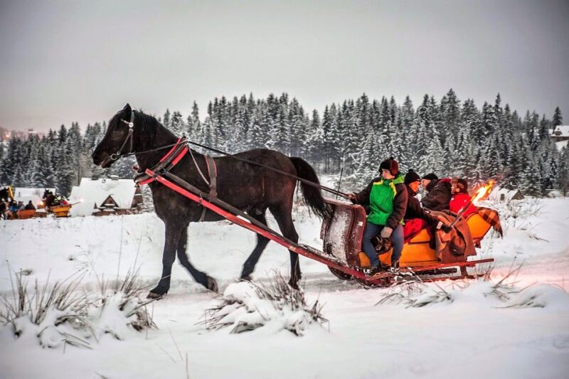 Fram Kraków; Tatra Mountain Sleigh Ride in Zakopane - Chochołowska Valley Sleigh Ride