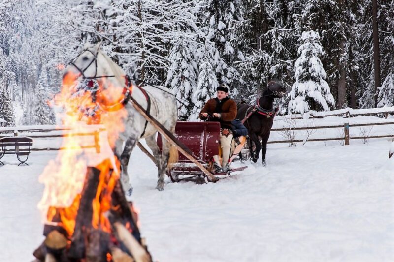 Fram Kraków; Tatra Mountain Sleigh Ride in Zakopane - Serene Winter Scenery and Silence