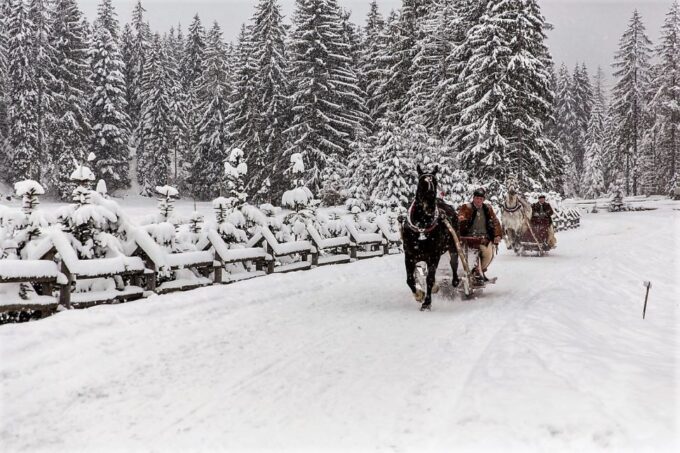 Fram Kraków; Tatra Mountain Sleigh Ride in Zakopane - Highlanders Gazebo and Bonfire Treats