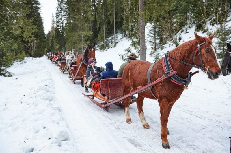 Fram Kraków; Tatra Mountain Sleigh Ride in Zakopane - Positive Customer Reviews and Feedback