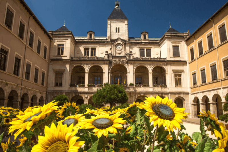 France: Excursion From Lyon to Vienne by Train - Experience Highlights
