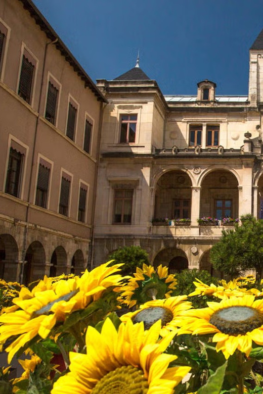 France: Excursion From Lyon to Vienne by Train - Booking Information