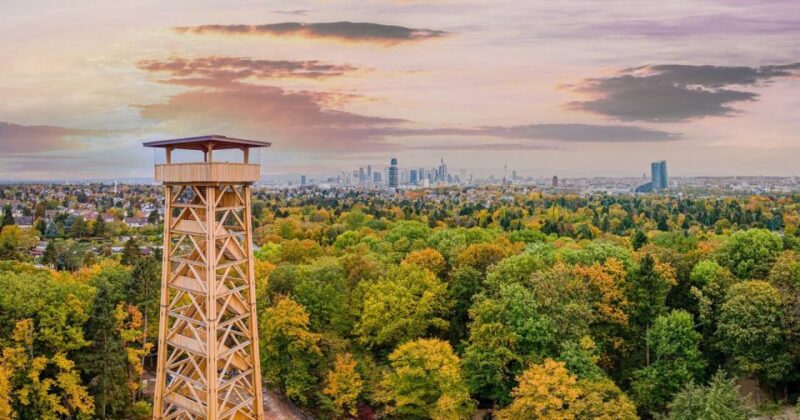 Frankfurt Card: Experience Frankfurt at the Best Price - Tour Discounts
