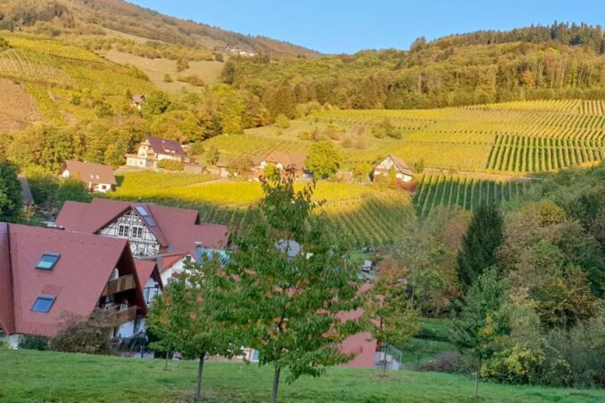 Frankfurt: Full-Day Baden-Baden and Strasbourg Trip - Frequently Asked Questions