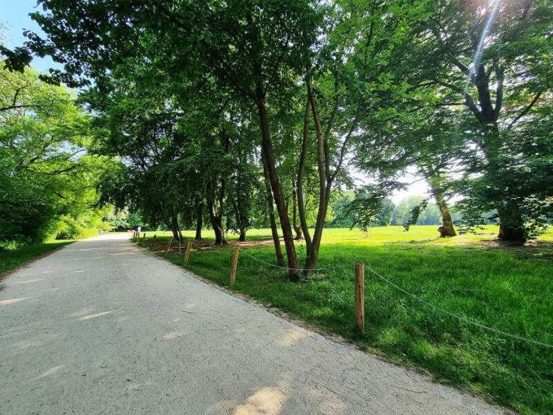 Frankfurt Grueneburgpark Audiorally by P.I. Sir Peter Morgan - Booking Information