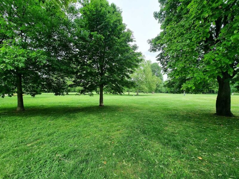 Frankfurt Grueneburgpark Audiorally by P.I. Sir Peter Morgan - Exploration Details