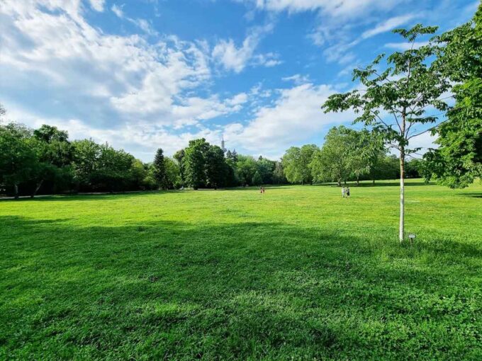 Frankfurt Grueneburgpark Audiorally by P.I. Sir Peter Morgan - Navigating the Smartphone App