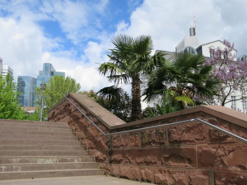 Frankfurt: Guided Walk Between Palm Trees and Skyline - Experience Highlights