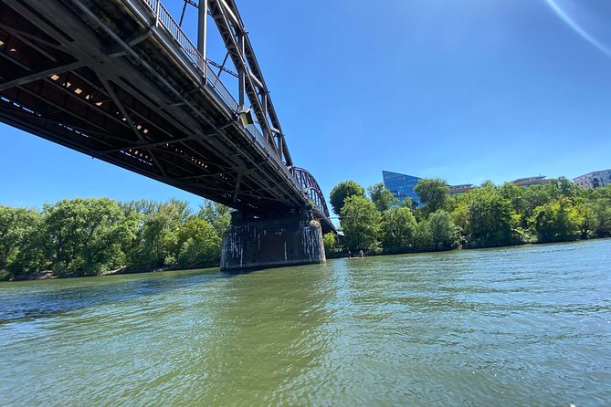 Frankfurt - Mainz Premium Day Trip by Boat With Sightseeing & Wildlife, F&B - Sightseeing Highlights Along the Way