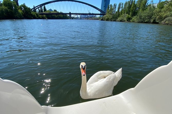 Frankfurt Private River Cruise - Scenic Highlights Along the River