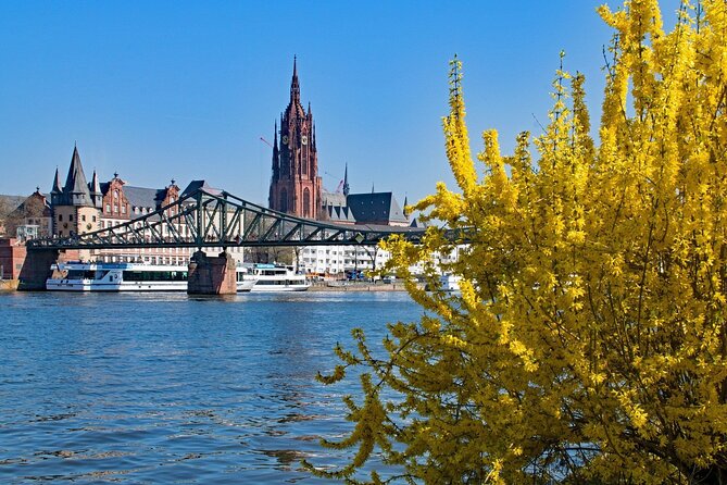Frankfurt Private Walking Tour With A Professional Guide - Review Highlights