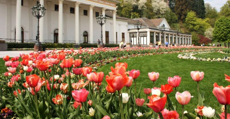 Frankfurt to Black Forest, Baden-Baden, Freiburg and by Car - Key Points