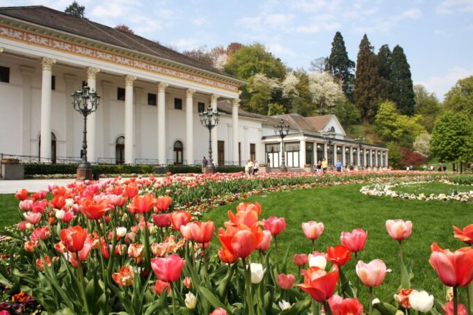Frankfurt to Black Forest, Baden-Baden, Freiburg and by Car - Exploring the Black Forest Region