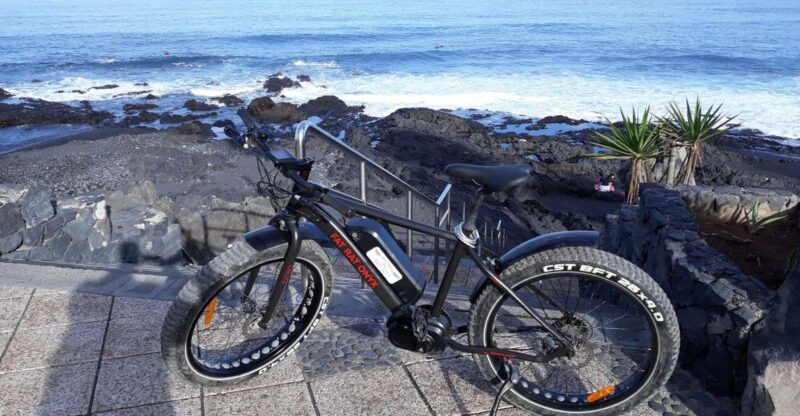 Frankfurt: Unique E-Bikes Tours - Key Points