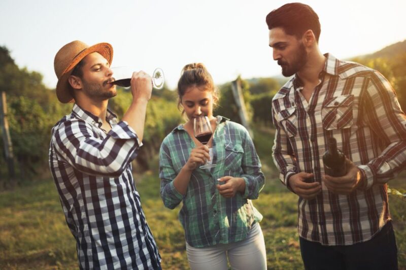 Frankfurt Wine Tasting Tour With a Wine Expert - Inclusions