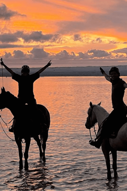 Franschhoek: 2h Horseback Riding at Sunset With Sundowners - Key Points