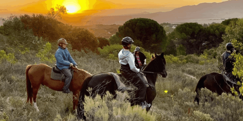 Franschhoek: 2h Horseback Riding at Sunset With Sundowners - Packing for the Adventure