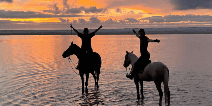 Franschhoek: 2h Horseback Riding at Sunset With Sundowners - Indemnity Form and Guidelines