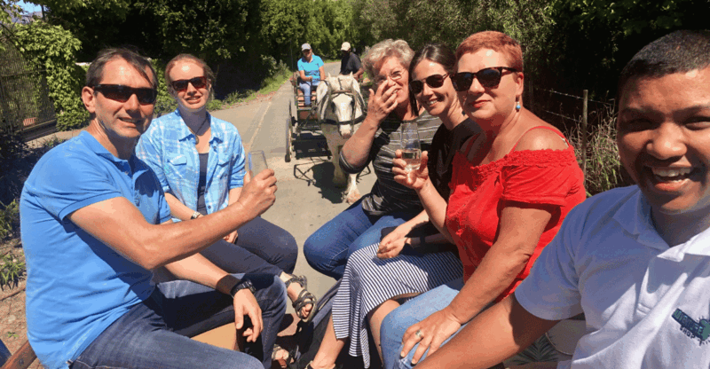 Franschhoek: 2h Premium Wine Tasting & Carriage Trail - Key Points