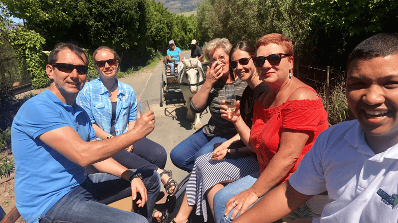 Franschhoek: 2h Premium Wine Tasting & Carriage Trail - Activity Overview