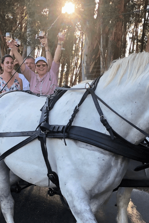 Franschhoek: 2h Premium Wine Tasting & Carriage Trail - Booking Information