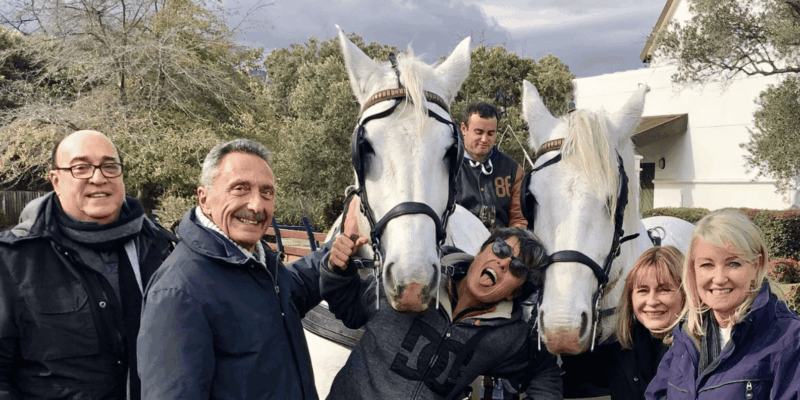 Franschhoek: 2h Premium Wine Tasting & Carriage Trail - Important Guidelines