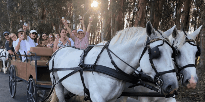 Franschhoek: 2h Premium Wine Tasting & Carriage Trail - Accessibility and Suitability