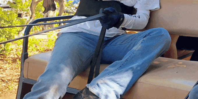 Franschhoek: 2h Premium Wine Tasting & Carriage Trail - Environmental Protection Measures
