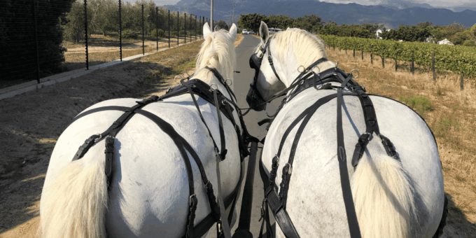 Franschhoek: 2h Private Engagement/Anniversary Carriage Ride - Breathtaking Mountain Views