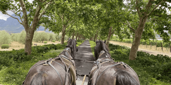 Franschhoek: 2h Private Engagement/Anniversary Carriage Ride - Frequently Asked Questions