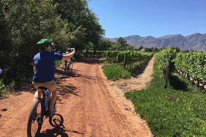 Franschhoek Cycle & Tasting Experience 4hr (Shared) - Key Points