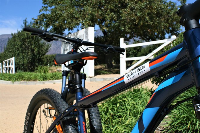 Franschhoek Cycle & Tasting Experience 4hr (Shared) - Exploring Exclusive Wineries