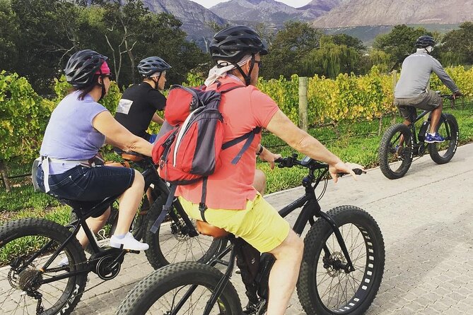 Franschhoek E-Bike Wine Tour (Half Day) - Indulging in Wine Tasting Experiences