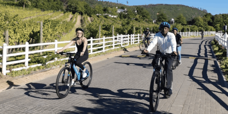 Franschhoek: E-Bike & Wine Tour (Shared Tour) - Experience Highlights