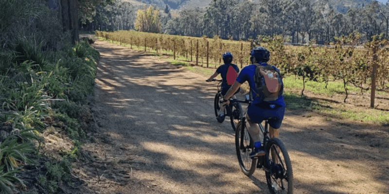 Franschhoek: E-Bike & Wine Tour (Shared Tour) - Participant Requirements