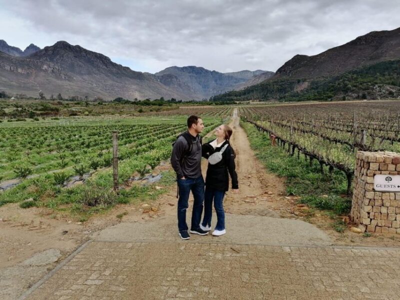 Franschhoek E-Bike & Wine Tour - Key Points