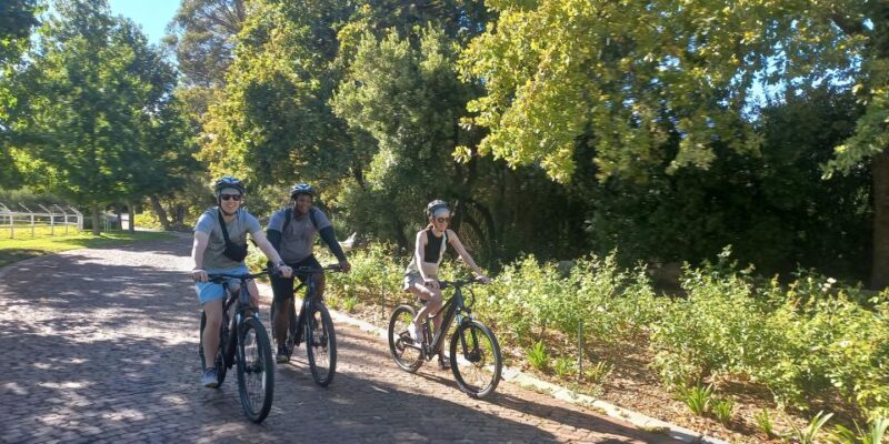 Franschhoek E-Bike & Wine Tour - Highlights of the Experience