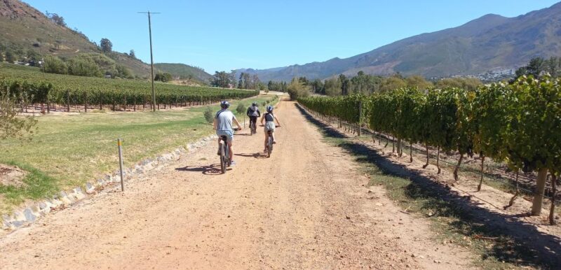 Franschhoek E-Bike & Wine Tour - Tour Inclusions