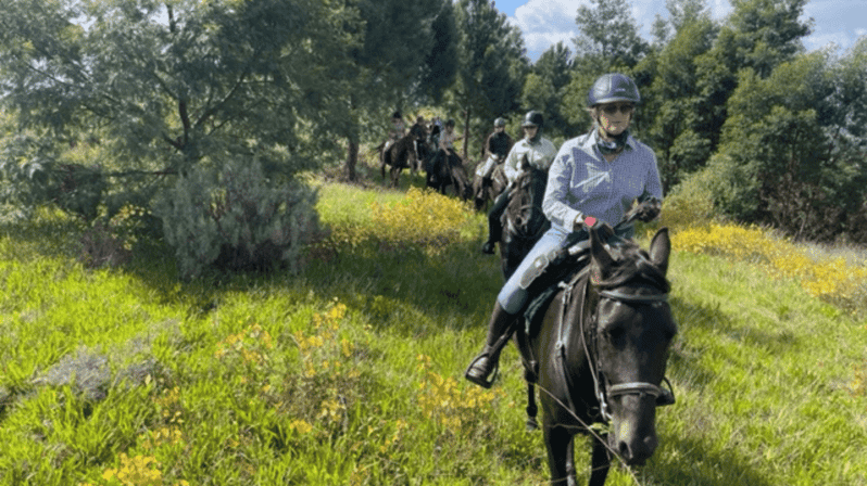 Franschhoek: Full-Day Horseback Riding and Wine Tasting Tour - Tour Overview and Pricing