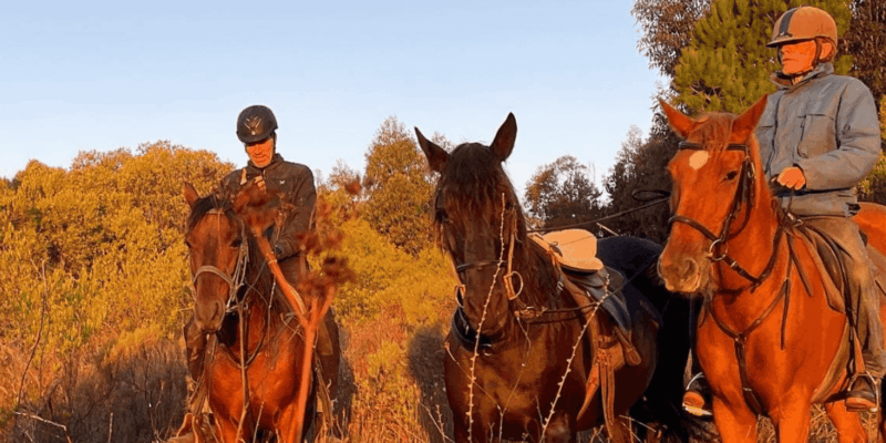 Franschhoek: Full-Day Horseback Riding and Wine Tasting Tour - Important Guidelines